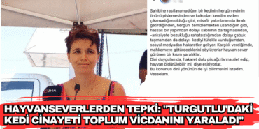 683879b76a08c_hayvanseverlerden-tepki-turgutludaki-kedi-cinayeti-toplum-vicdanini-yaraladi_h.png