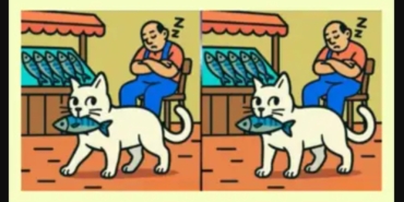 balikcidan-balik-calan-iki-kedi-arasindaki-3-farki-sadece-yuksek-iqsu-olanlar-14-saniyede-buluyor-u5.jpeg