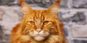 f4f05b55-215b-4350-9f55-08bd5675afe2.jpg