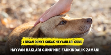 hayvan-haklari-gunu-nde-farkindalik-zamani-8749.jpg
