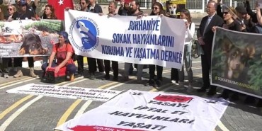hayvan-haklari-savunuculari-aym-nin-onunde-dem-partili-akin-turkiye-nin-her-tarafindan-hayvanlara-do.jpeg