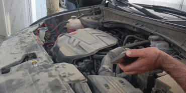 motor-kismina-sikisan-yavru-kedi-kurtarildi-cozum-telefondan-gelen-miyavlamada-bulundu-h1748498892-0.png