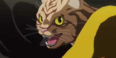 Nyaight-of-the-Living-Cat-Anime-Dizisi-Fragman.jpeg
