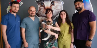 aa-20250617-38302385-38302384-diyabet-hastasi-kedi-kok-hucre-nakliyle-sagligina-kavustu.webp.webp