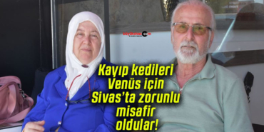 ked5.jpg