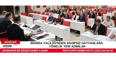 manisa-valiligi-nden-sahipsiz-hayvanlara-yonelik-yeni-adimlar.jpg