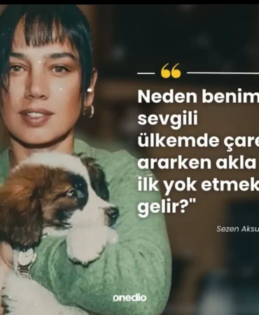 43271131268272.webp.webp