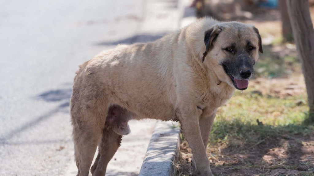 featured