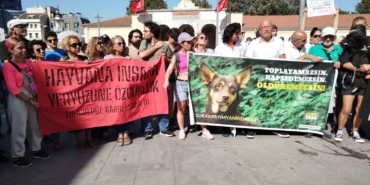 hayvan-haklari.jpeg