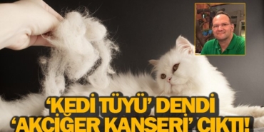 kedi-tuyu-dendi-akciger-kanseri-cikti-3172025101523.jpg