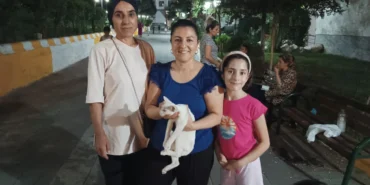 sarmasiklara-sikisan-kedi-bir-saatlik-caba-sonucunda-kurtarildi-222706-20250806.webp.webp