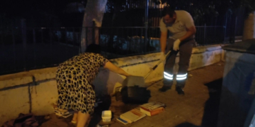 sokakta-gorduler-seferber-oldular-l7ym.jpg