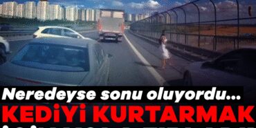 919374-kediyi-kurtarmak-icin-yola-firladi-neredeyse-sonu-oluyordu-68c6dafb849c8.jpg