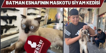 batman-esnafinin-maskotu-siyam-kedisi.jpg