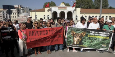 hayvan-haklari-savunucularindan-toplatma-genelgesine-protesto-brax.jpg