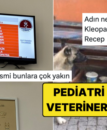s-0dca82bef0956d02413f8339ff0114574b4c1d1f.jpg