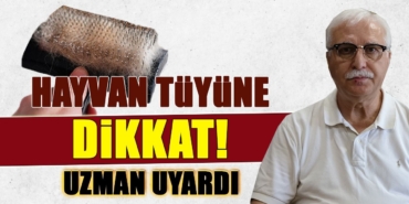 uyardi-uzman.jpg