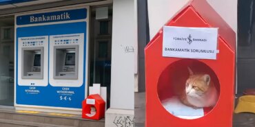 1761932257_Is-Bankasi-Bankamatik-Sorumlusu.jpg