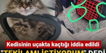 479945.jpg
