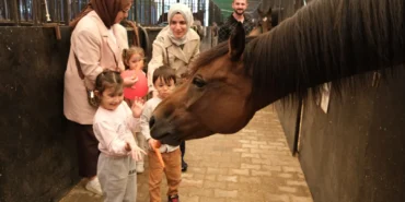 Minikler-Hayvanlari-Koruma-Gununde-atlarla-bulustu-2.webp.webp