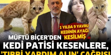 augu.jpg
