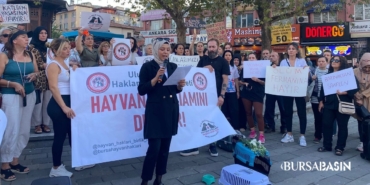 bursa-hayvan-haklari.jpg