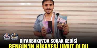 diyarbakirda-sokak-kedisi-renginin-hikayesi-umut-oldu.jpg