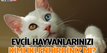 evcil-hayvan-kimliklendirme.jpg