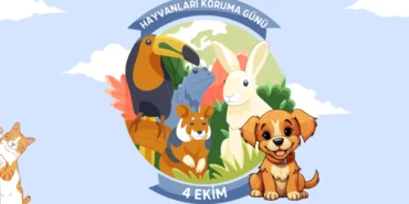 hayvanlari-koruma-gunu.webp.webp