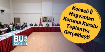 kocaeli-il-hayvanlari-koruma-kurulu-toplantisi-gerceklesti.jpg