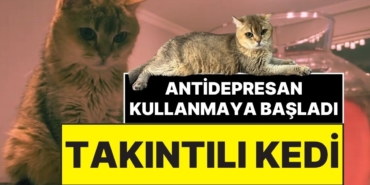 s-722650b62fc8312fbdd6baa8cbc99b395fbcbf19.jpg
