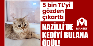 sablon-20.png
