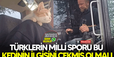 turklerin-milli-sporu-bu-kez-bir-kedinin-ilgisini-cekmis-olmali.png