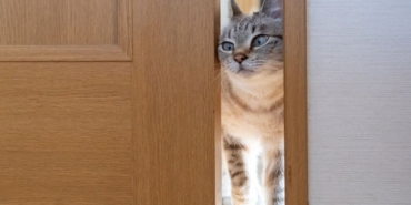 101jpg-HmLAonwnEkO1qBlw1CFYag.jpg