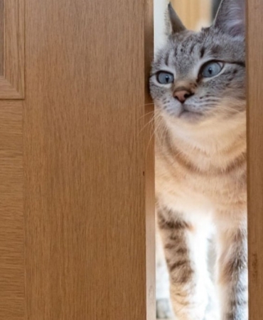 101jpg-HmLAonwnEkO1qBlw1CFYag.jpg