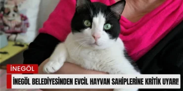 Inegol_Belediyesinden_evcil_hayvan_sahiplerine_kritik_uyari__19ac4913.webp.webp