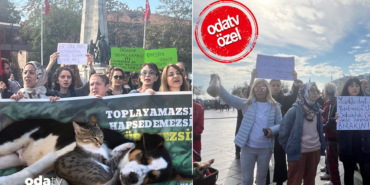 hayvan-besleme-yasagina-protesto-gecit-vermeyecegiz-brze.jpg