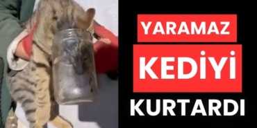 kafasi-kavanoza-sikisan-kedi.jpg