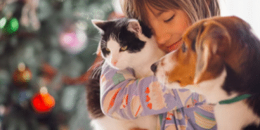 kedi-ve-kopek-sahiplerine-son-cagri-son-gun-31-aralik-2025_690dccb8e6db4.png