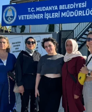mudanya-hayvan-haklari-inisiyatifi-her-canin-bir-hikayesi-var-1762259732-938_large.webp.webp