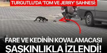 turgutluda-tom-ve-jerry-sahnesi-fare-ve-kedinin-kovalamacasi-saskinlikla-izlendi_6912eb41bcdac_h.jpg