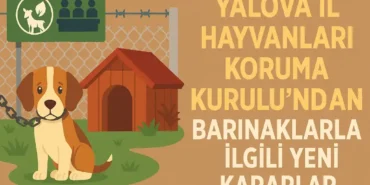 YALOVA-IL-HAYVANLARI-KORUMA-KURULUNDAN-BARINAKLARLA-ILGILI-KRITIK-KARARLAR.webp.webp