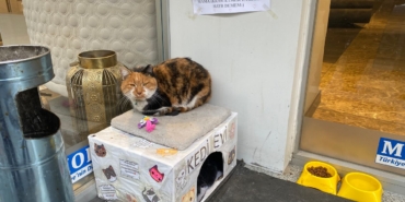 a-w608797-01.jpg