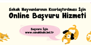 canakkale-belediyesinden-sokak-hayvanlari-icin-online-kisirlastirma-basvurusu_693c129d42cc1.png
