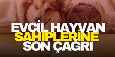 evcil-hayvan-sahiplerine-son-c_1766754523_VTd1EC.png