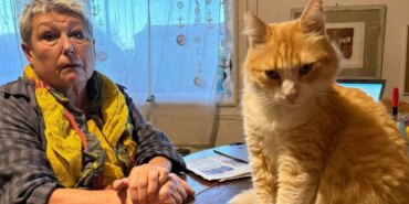 fined-cat-trespassed-cover-5978422.jpg