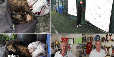 harmanlikspora-fair-play-odulu-sebebi-uc-yavru-kedi-wzet.jpg