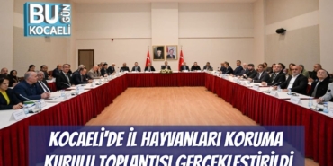 kocaelide-il-hayvanlari-koruma-kurulu-toplantisi-gerceklestirildi-1.jpg
