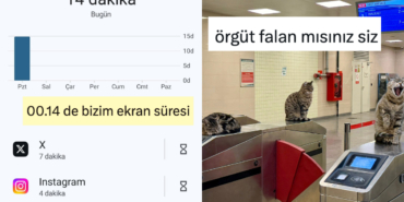 s-0fb4964a6dc02c5c1c46423c1bd9869010271daf.jpg