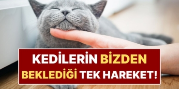 s-541a374a34ec780db5cdeac92f55ce86003b422c.jpg